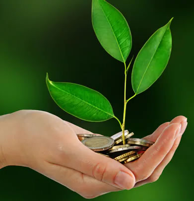 Consultoria em Crédito Rural e Financiamento Suste